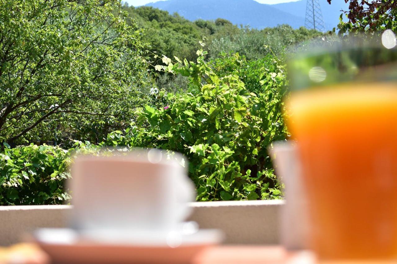 Evianna Appartement Mousata